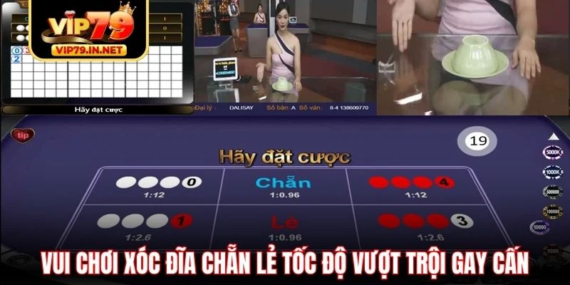 Vui chơi xóc đĩa chẵn lẻ tốc độ vượt trội gay cấn