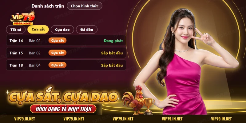 Đá gà cựa sắt và cựa dao VIP79 với danh sách trận lọc theo hình thức cựa sắt, cựa dao hoặc đá đòn