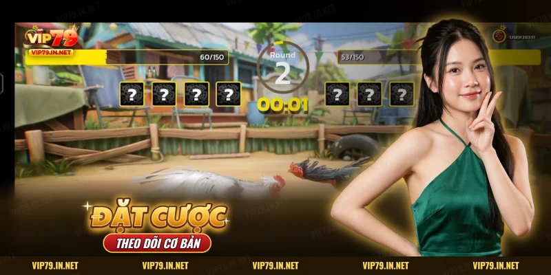 Cách mở luồng và đặt cược cơ bản xem đá gà trên điện thoại VIP79