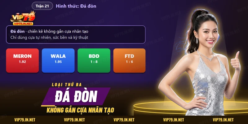 Trận đá đòn không gắn cựa với bốn cửa Meron, Wala, BDD và FTD trên sảnh đá gà