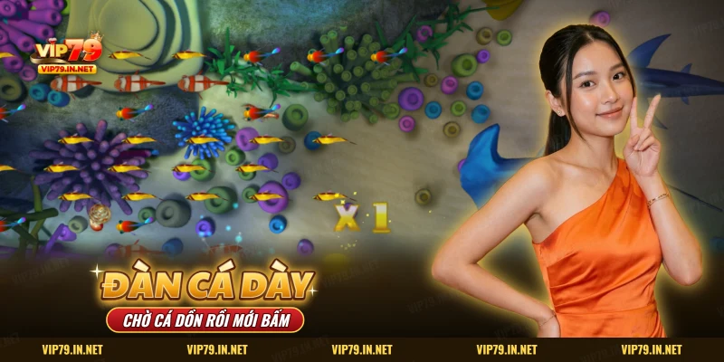 Đàn cá nhỏ dày đặc giữa san hô trước khi bấm đạn nổ