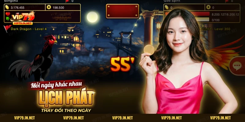 Lịch phát đá gà trực tiếp thay đổi theo ngày trên VIP79