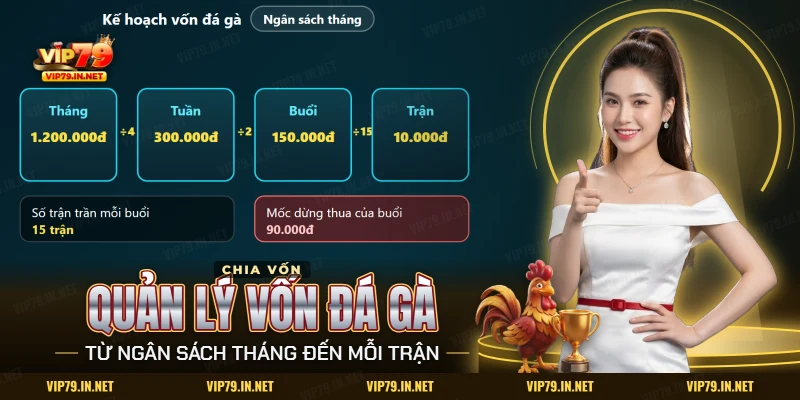 Quản lý vốn đá gà VIP79 chia ngân sách tháng thành vốn tuần, buổi và từng trận